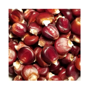 Fournisseur de maïs rouge biologique naturel de qualité standard à prix attractif en vrac - Product Image 5