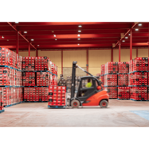 Bebidas Coca Cola 2L/1L/1.5L al por mayor - Product Image 5