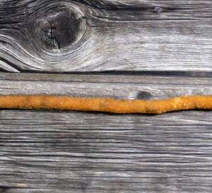 PureSphere Miswak bâton de racine à base de plantes bio blanchissant la santé des gencives brosse à dents en bois écologique bâton de soin d'hygiène buccale naturel - Product Image 6