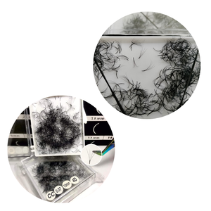 Extensions de cils synthétiques faites à la main, vente en gros, emballage en plateau pour la beauté, modèle facile Nhu Y Eyelash NY4D, volume complet 0.05-0.10mm - Product Image 4