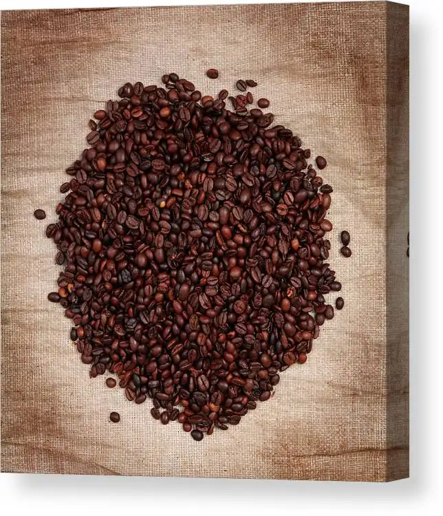 Proveedor de granos de café tostados Arábica al por mayor, calidad superior y precio al por mayor