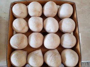 Coco Entero Pulido de Vietnam - Materia Prima Seleccionada, Suministro Estable para Importadores - Product Image 3