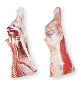 Viande de boeuf congelée sans os, quartiers avant, qualité supérieure pour la vente au détail et en gros - Product Image 2