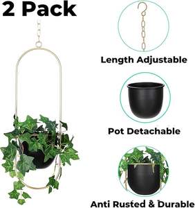 Комплект из 2 прочных металлических подвесных полок для растений Pioneera Model PH2507 с порошковым покрытием, современный держатель для растений для дома, окна, потолка, стены - Product Image 2
