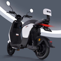 Cyclomoteur électrique à deux roues longue portée hors route petite moto électrique vélo Scooter électrique pédale approuvé 2024