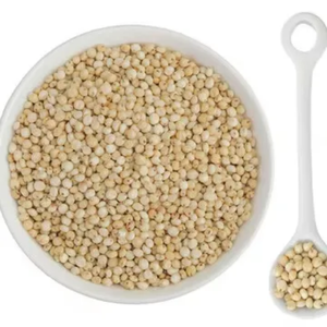 Meilleure qualité de grain en vrac sorgho rouge et sorgho blanc à prix abordable fournisseur au prix de gros - Product Image 3