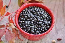 Haricots noirs secs en gros, qualité alimentaire, pureté 99%+, certifiés FSSAI/ISO pour l'exportation - Product Image 4