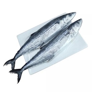 Frozen Horse Mackerel <b>Fish</b> Sardine <b>Fish</b> in Stock High Quality Seafood Whole <b>Fish</b> Horse Mackerel Frozen Pacific Mackerel - Product Image 2