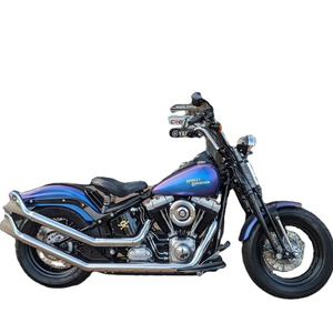 Modelo en Oferta Harley-Davidson FLSTSB Cross Bones 96-CI 2010 - Springer con 2 Años de Garantía Internacional - Product Image 1