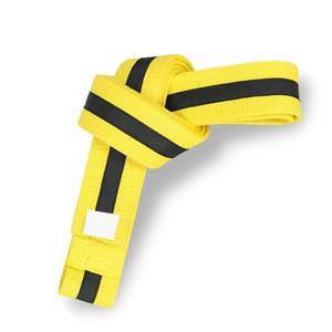 Durable Material <b>Martial</b> <b>Arts</b> Karate Belt Professional Design <b>Martial</b> <b>Arts</b> Karate Belt Made Pakistan 2025 - Product Image 3