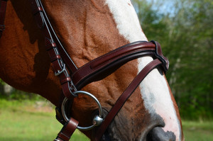 Red Barn Burghley Flash Bridle Seasonal Samosata Old Snake certificado ISO 9001 personalizable bajo petición envío al por mayor - Product Image 6