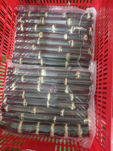 Caña de azúcar congelada de Vietnam, palitos jugosos naturalmente dulces para fábrica de bebidas, restaurante, uso y exportación, clientes mayoristas - Product Image 2