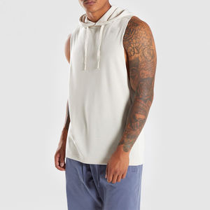 Vente en gros OEM personnalisé hommes pulls à capuche sans manches 100% coton vêtements de sport pour le sport Fitness brodé couleur unie chaud hiver - Product Image 1