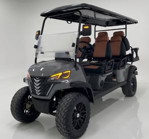 DERNIÈRE OFFRE EU 2025 2026 Buggy tout-terrain électrique, voiturette de golf, UTV PRÊT À ÊTRE EXPÉDIÉ - Product Image 1