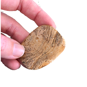 หินพลอยธรรมชาติรูปต้นปาล์มแบนเรียบหินจัสเปอร์หินธรรมชาติทรงรีแบนมีช่องใส่ของ - Product Image 5