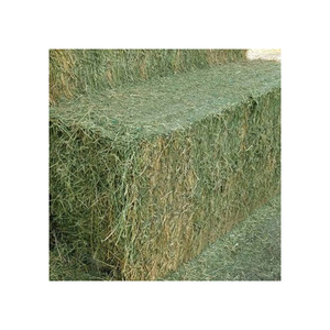 Foin d'alfalfa de qualité supérieure disponible en vrac pour l'alimentation du bétail et le commerce d'exportation - Product Image 4