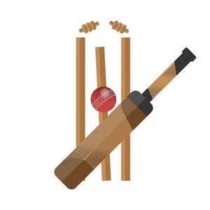 Vente à chaud Ensemble de souches en plastique de cricket d'excellente qualité avec 3 souches en plastique et 2 bélières pour acheteurs en gros - Product Image 3