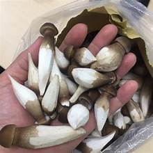 ETIQUETA LIMPIA DE SETAS TERMITAS SECADAS PREMIUM PRODUCTO DE APOYO INMUNE A BASE DE PLANTAS - Product Image 4