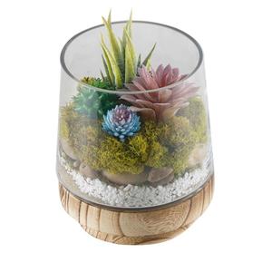 Terrarium en verre de qualité supérieure pour décoration de salon ou de salle à manger - Product Image 4
