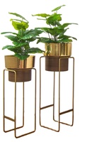 Penyangga Pot Bunga Mewah Berlapis Krom Besi Logam dengan Warna yang Dapat Disesuaikan, Tahan Lama, Elegan untuk Aplikasi Rumah dan Taman