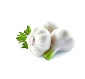 Wholesale <b>Fresh</b> <b>Garlics</b> for Sale at Cheap Prices High Quality Farm <b>Fresh</b> <b>Garlic</b> Available for Export in Bulk - Product Image 5