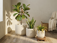 Pots à fleurs, jardinières, jardinières en béton pour le jardin, grandes jardinières d'extérieur, éco-responsables, durables, pour usage domestique, avec trou de drainage