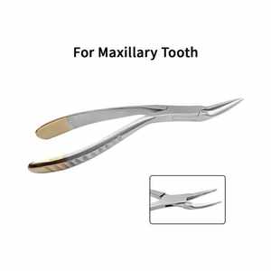 Pince à épiler à fragment maxillaire incurvé pince à racine résiduelle dentaire classe I pour instruments chirurgicaux d'extraction dentaire - Product Image 4