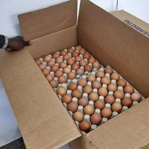 Huevos Frescos Fértiles Hyline Brown y Lohmann Brown, 30 Huevos - Product Image 1