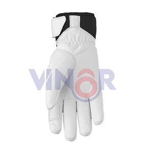 Guantes de esquí personalizados a prueba de agua de alta calidad a prueba de viento Palma protectora última tendencia guantes de esquí cálidos para snowboard/esquí - Product Image 3