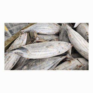 Bulk supply <b>frozen</b> skipjack wholesale cheap price ocean <b>frozen</b> fish for export - Product Image 1