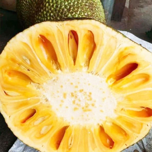 Tumeric jackfruit ขายส่ง-คุณภาพระดับพรีเมี่ยมราคาดีที่สุดสำหรับการสั่งซื้อจำนวนมาก! - Product Image 6
