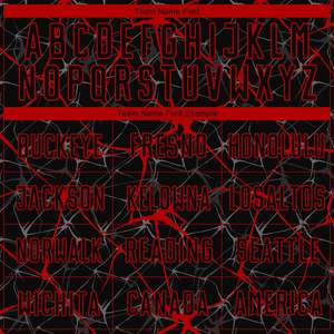 ชุดการฝึกซ้อมฟุตบอลชุดฝึกเล่นฟุตบอลโพลีเอสเตอร์ออกแบบโลโก้ได้ตามต้องการ - Product Image 4