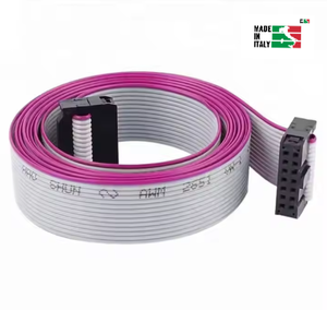 สายเคเบิลริบบิ้นแบนที่มีตัวเชื่อมต่อ IDC หลากสีและสีเทาตัวเลือกทำในอิตาลี - Product Image 4