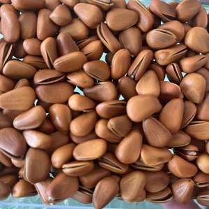 Top Grade 10-Pound Bulk Organic Natural Raw Pine <b>Nuts</b> with 24-Month Shelf Life Snack Processing Food Export Netherlands - Product Image 4