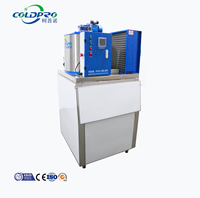 Machine à glace en flocons COLDPRO 0.3T, petite, en acier inoxydable 304, automatique, commerciale, pour mini-boutique, stand de fruits de mer, refroidissement des produits frais