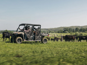 รถอเนกประสงค์ขับเคลื่อน 4 ล้อ UTV 300 ซีซี 4 จังหวะ เกียร์ธรรมดา ได้รับการรับรองมาตรฐาน EEC สำหรับทุกสภาพพื้นผิว รถเอทีวีพร้อมตะกร้าหน้า สำหรับใช้งานในฟาร์ม/ทางเดินในไร่นา ใช้เชื้อเพลิงเบนซิน/ดีเซล 10 ลิตร - Product Image 5
