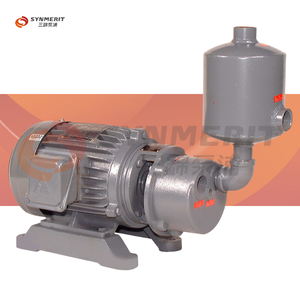 Pompe à vide à anneau liquide industrielle SUNNY KING SWP, matériau en fonte, monostade - Product Image 1