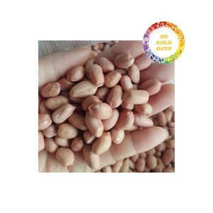 Cung cấp đậu phộng khô chất lượng được lựa chọn từ Việt Nam đảm bảo độ tươi và thời hạn sử dụng lâu dài cho ngành công nghiệp thực phẩm - Product Image 5