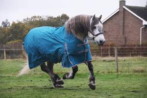 Wholesale Winter <b>Waterproof</b> Horse Rug Breathable Outdoor Equestrian Equine Products with Nylon Lining for Horse Riding - Product Image 3