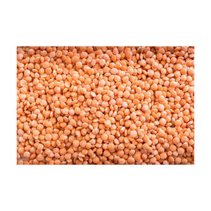 Lentejas rojas de bajo precio suministradas a granel con pureza y calidad garantizadas - Product Image 4