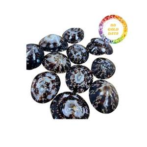 Venta al por mayor de conchas de Lapa, oferta a granel para accesorios artesanales y decoración del hogar con calidad superior y precio asequible - Product Image 2