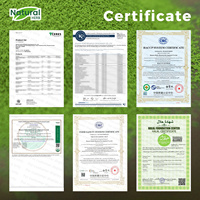 Poudre de fleur de pois papillon 700 Mesh, Matcha bleu pour l'alimentation, les boissons et la coloration naturelle, approvisionnement en vrac