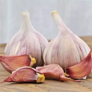 Premium Quality Dried Garlic At Affordable Price Export In Bulk