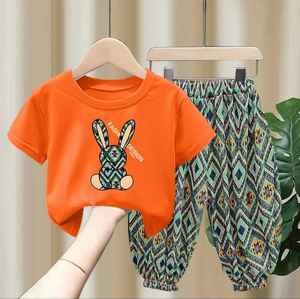 Fille 1 Sets Couleur Unie Volants Garniture T-Shirt Tops + Shorts Vacances Casual Set Summer Outdoor Clothes Cadeau - Product Image 5