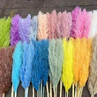Bunga Abadi Dekoratif Alami 70CM Buket Rumput Pampas Kering - Gaya Eropa 100% Alami untuk Pernikahan Natal Paskah