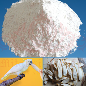 NATURAL DRIED <b>CUTTLE</b> <b>FISH</b> <b>BONE</b> WHOLESALE AT AFFORDABLE PRICE - Product Image 3