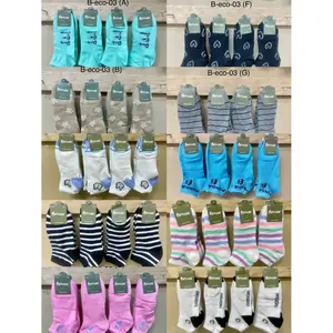 B-ECO-03 - Product Image 1