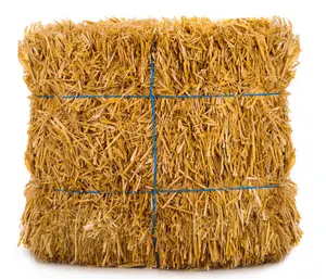 Rollo de paja de arroz seco orgánico para alimentación Animal, venta al por mayor