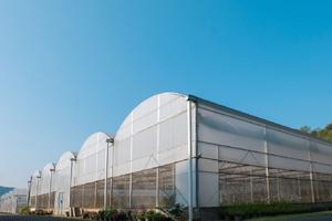 Cadre galvanisé par polyhouse vert en forme de dôme pour le modal israélien d'agriculture biologique d'environnement contrôlé - Product Image 4