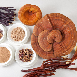 CHAMPIGNON REISHI SAUVAGE AUX HERBES | SÉCHÉ POUR UNE LONGUE CONSERVATION | ÉTIQUETTE PROPRE BIEN-ÊTRE - Product Image 1